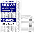 Filter King 22x24x1 Air Filter Dust & Allergy Control AC Furnace Filters by FilterKing