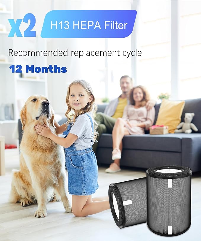 2 Pack DR-HPA019 Replacement Filters Compatible - Image 6