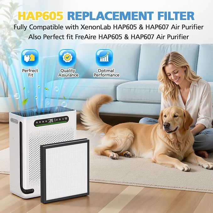 HAP605 Replacement Filter 2 Pack, Air Purifier Replacement Filter - Image 2