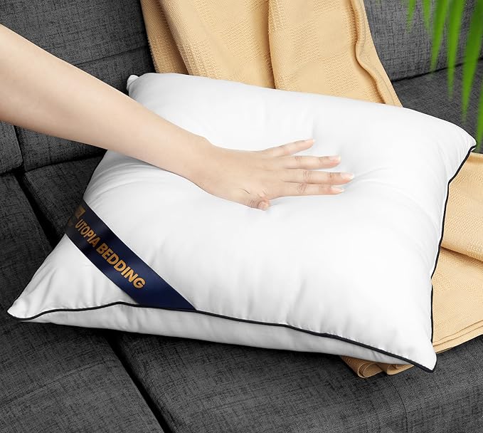 Utopia Bedding Throw Pillow Inserts (Pack of 2, White), 22 x 22 Inches Decorative Indoor Pillows for Sofa, Bed, Couch, Cushion Sham Stuffer