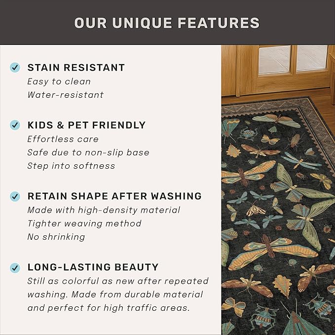 Hazo Haus Black Front Door Mat Indoor Entrance Non Slip Washable - 3x4 Throw Rug for Kitchen, Mudroom, Bedroom Bedside, Insect Boho Vintage Aesthetic Décor