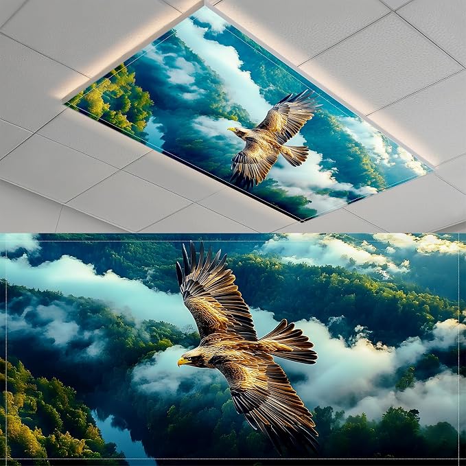 Fluorescent Light Covers-2 Pack 4 x 2 Feet Magnetic Ceiling Light Cover Room by BSFHH