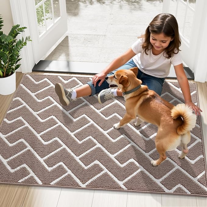 OLANLY Front Door Mat, Non-Slip Rubber Backing, Dirt Resistant and Absorbent, Washable, Easy to Clean Low-Profile Indoor Doormat for Back Door, Entryway, Inside Entrance, 32x20, Brown