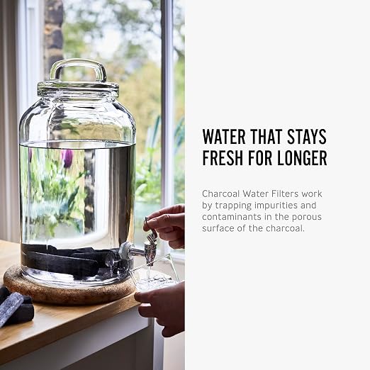 BLACK + BLUM Charcoal Water Filter Sticks | Charcoal Filter Hydration Old - Image 6