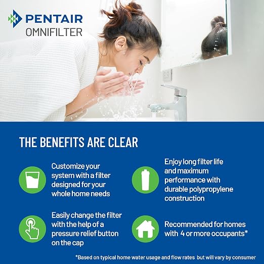 Pentair OMNIFilter Whole Home 20" Heavy-Duty Big Blue Water Filtration System - Image 6