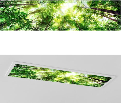 1 Pc 1 x 4 Feet Fluorescent Covers by Wowangce