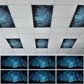 6PCS Fluorescent Light Cover, 4x2 Feet Magnetic Light Cover Fluorescent Lights by QOUBAI