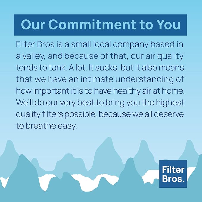 Filter Bros LV-H132-RF High Efficiency Activated Carbon Replacement Filter Fits - Image 6