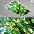 2 Pack Sunmmer Tree Fluorescent Light Cover by Unknown