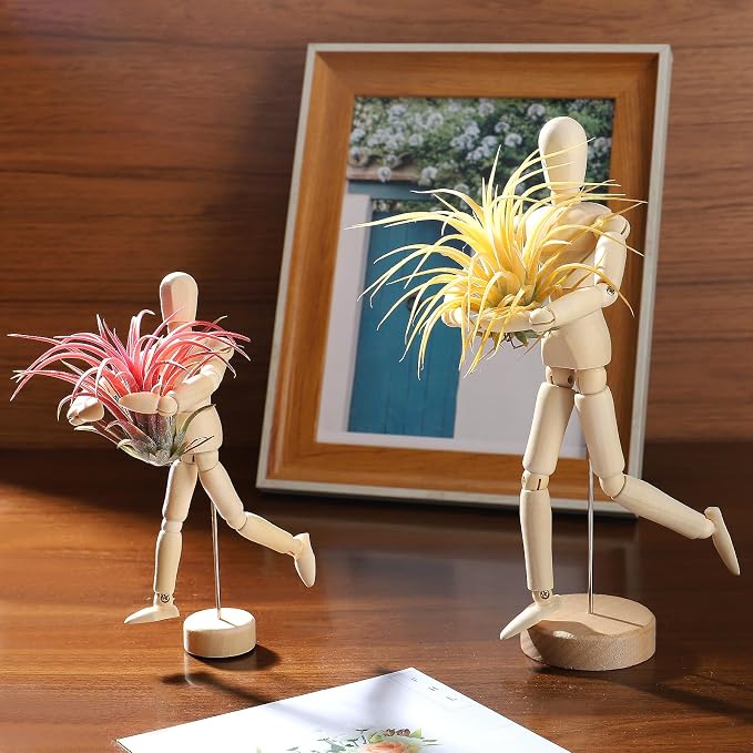 ANPHSIN 2 Sizes Wooden Air Plant Holder - Image 4
