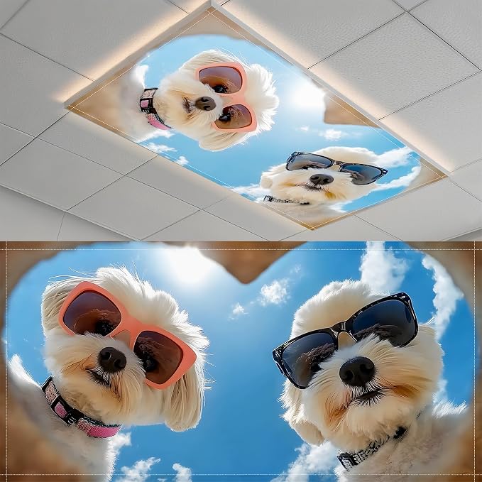 Fluorescent Light Covers-2 Pack 4 x 2 Feet Magnetic Ceiling Light Cover Room by BSFHH