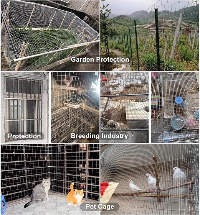 Livestock Fencing Roll Galvanised Welded Wire Mesh Roll Garden Chicken Wire - Image 5
