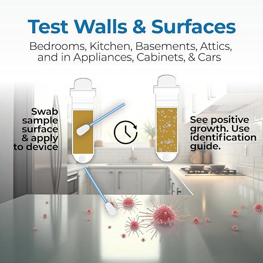 Mold Screening & Indoor Air Quality Test - Image 4