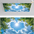 2 Pack Fluorescent Light Covers 4x2 ft Magnetic Light Covers by seewan
