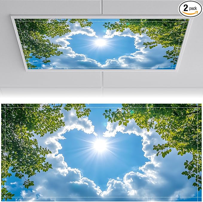 2 Pack Fluorescent Light Covers 4x2 ft Magnetic Light Covers by seewan