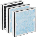 HEPA & Activated Carbon Filter Replacement Set Compatible by Carmerny