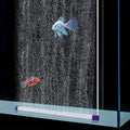 hygger 16.9 Inch Long Aquarium Bubble Bar, Ultra-Fine Quiet Oxygen Diffuser by hygger
