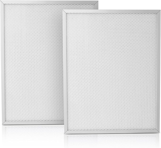 2 Packs 50000293-002 Post Filter Replacement Compatible by Beolisav