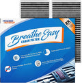 Spearhead Odor Defense Breathe Easy AC & Heater Cabin Filter, Fits 2 Series by SPEARHEAD