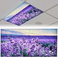 Patelai 4 x 2 Feet Fabric Fluorescent Light Cover by Patelai