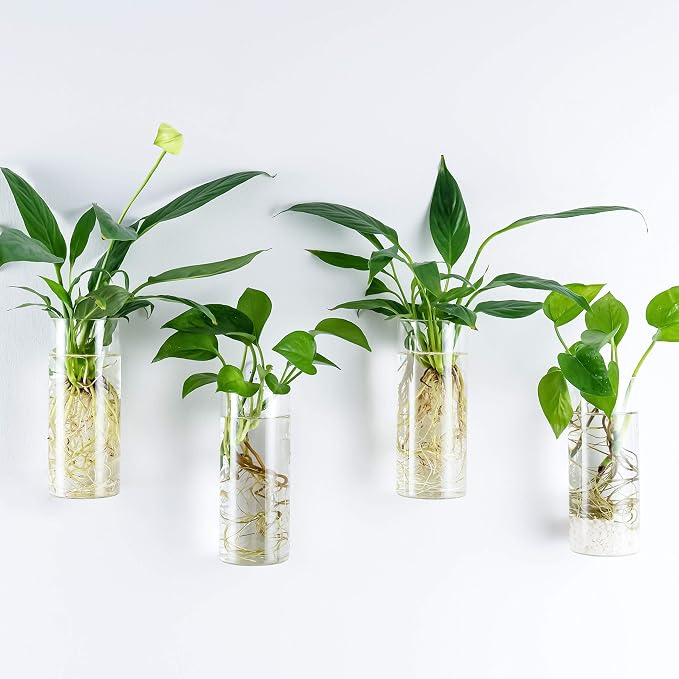 Kingbuy Short Cylinder Wall Planter 4 Pack, air plants, cuttings. Great gift - Image 2