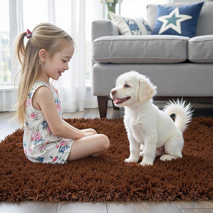 Rugs for Bedroom 4x6, Alfombras para Salas Shag Large Plush Soft Area Rug, Shaggy Carpets for Livingroom, Kids Boys Girls Home Decor Aesthetic(Coffee, 4 x 6)