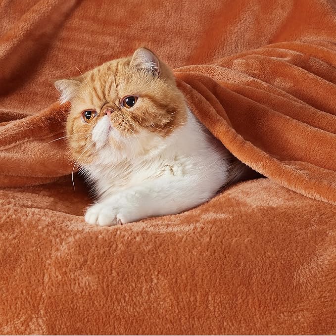 Bedsure GentleSoft Fleece Blankets Queen Size - 280GSM Soft Lightweight Plush Cozy Blanket for Bed, Sofa, Couch, Travel, Camping