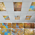 12 Pcs Fluorescent Light Covers by Wiooffen