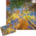 Baquler 2 Pcs 2 x 2 ft Fluorescent Light Covers by Baquler