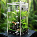MYGIIKAKA Jumping Spider Enclosure Accessories, Tarantula Spider Box, Bug Cage by MYGIIKAKA
