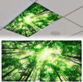 Patelai 4 x 2 Feet Fabric Fluorescent Light Cover by Patelai