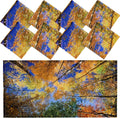 Patelai 8 Pack Fluorescent Light Covers by Patelai