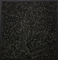 SPT 2102-VOC Filter by SPTInnovationValueandQuality