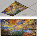 Patelai 4 x 2 Feet Fabric Fluorescent Light Cover by Patelai