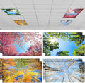 Patelai 8 Pack Fluorescent Light Covers by Patelai