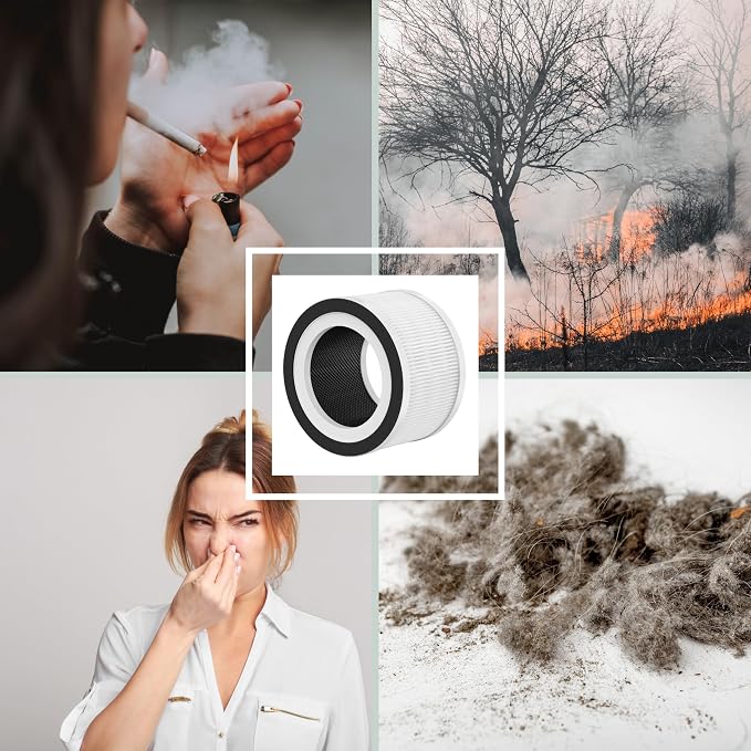 Nispira 3-in-1 True HEPA Filter + Carbon Compatible - Image 8