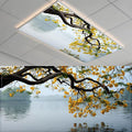 2 Pack Fluorescent Light Covers- 4 x 2 Feet Magnetic Ceiling Light Cover Room by BSFHH