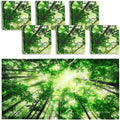 Hortsun 6 Pcs Fluorescent Light Covers by Hortsun