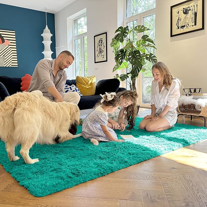 OLANLY 5x8 Machine Washable Large Area Rugs for Living Room, Bedroom, Soft Fluffy Shaggy Bedside Rug, Indoor Floor Carpet for Kids Girls and Boys, Dorms, Nursery, Home Decor Aesthetic, Teal Green