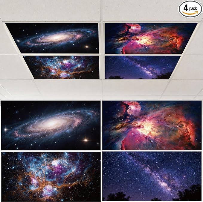 Fluorescent Light Cover by Unknown