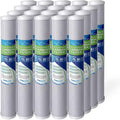 Standard Whole House Coconut Shell Carbon Block 5 Micron Water Filter 20” x by Ronaqua