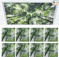 Torixqi 8 Pcs Fluorescent Light Covers by Torixqi