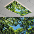 2 Pack Fluorescent Light Covers- 4 x 2 Feet Magnetic Ceiling Light Cover Room by BSFHH