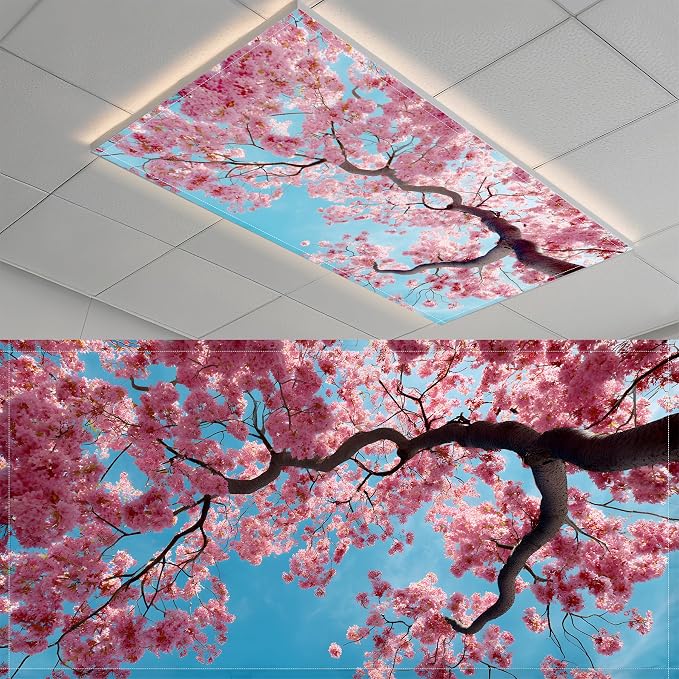 Fluorescent Light Covers-2 Pack 4 x 2 Feet Magnetic Ceiling Light Cover Room by BSFHH