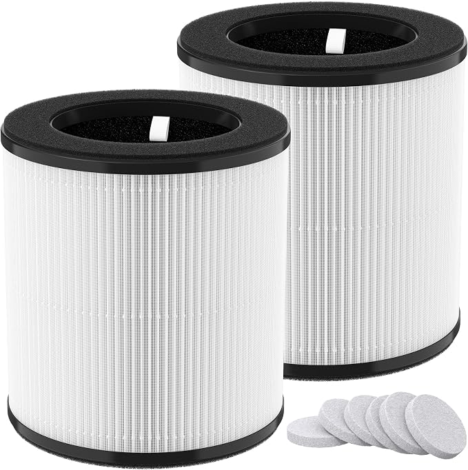 2 Packs D10 Replacement Filters Compatible by XBWW