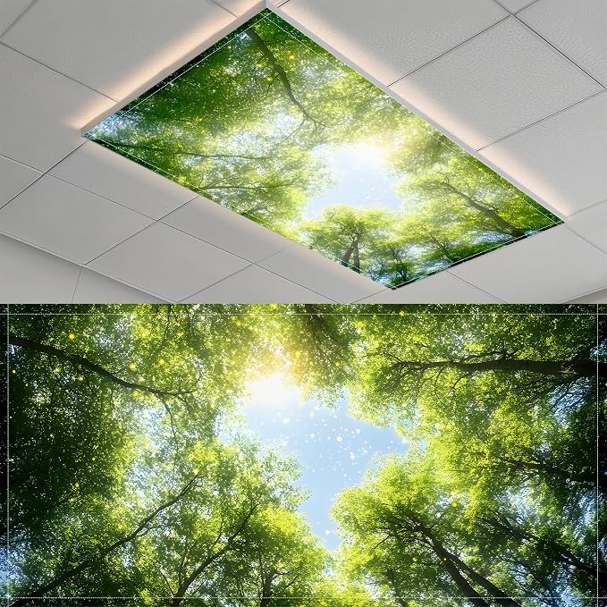 Fluorescent Light Covers-2 Pack 4 x 2 Feet Magnetic Ceiling Light Cover Room by BSFHH