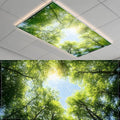 Fluorescent Light Covers-2 Pack 4 x 2 Feet Magnetic Ceiling Light Cover Room by BSFHH