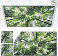 Torixqi 2pcs Fluorescent Light Covers by Torixqi